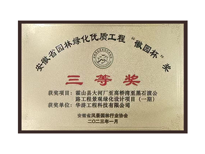 广州荣获2022年度“徽林杯”奖三等奖